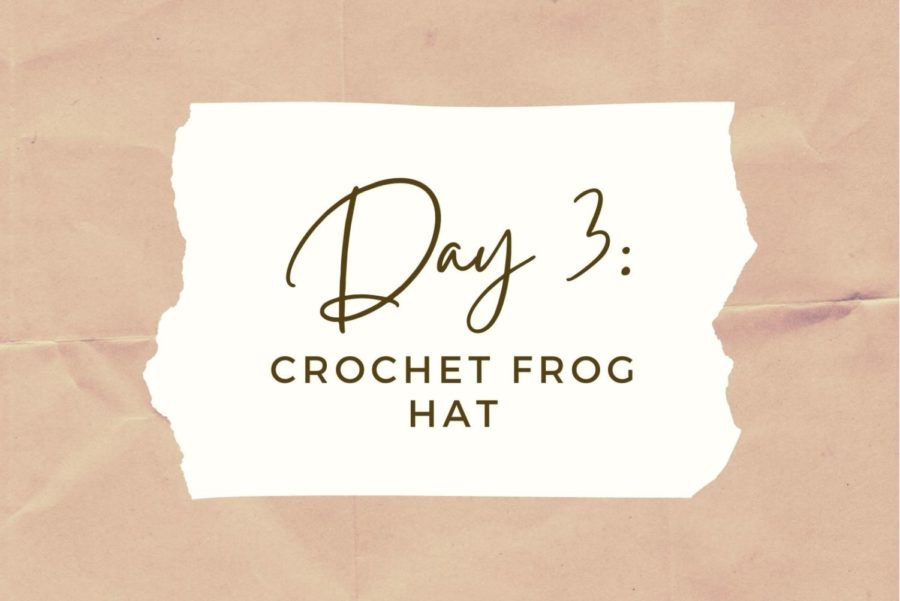 DAY+3%3A+Crochet+Frog+Bucket+Hat