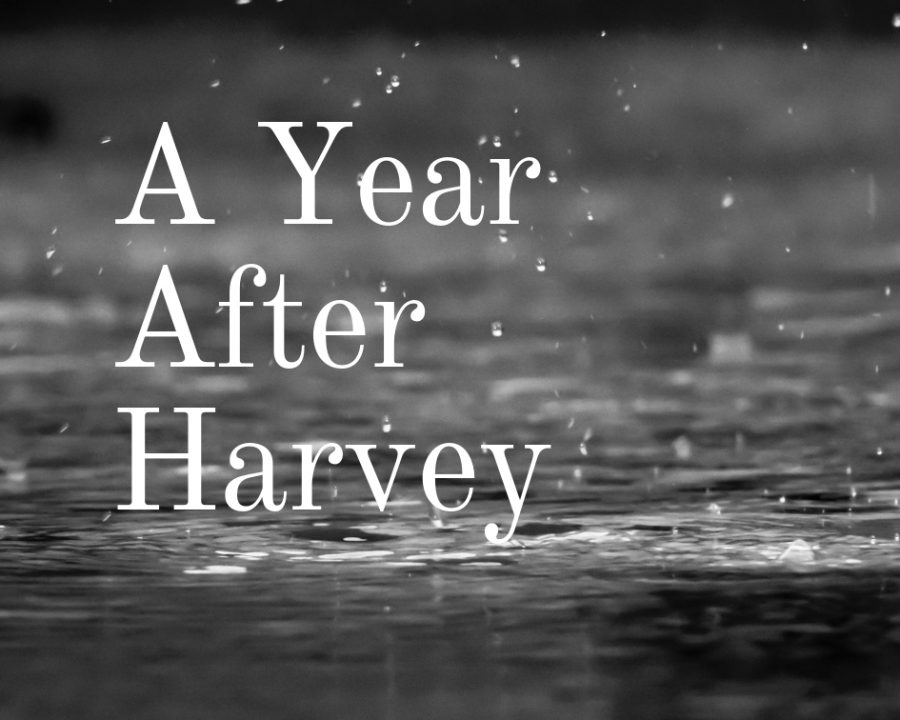 A Year After Harvey