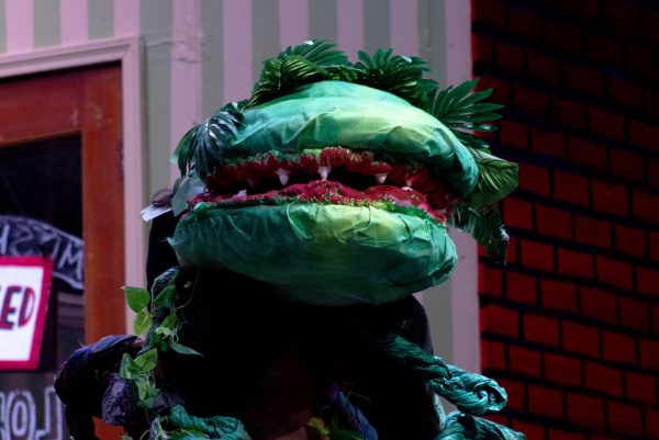 A Little Shop of Horrors Opens at Cypress Falls